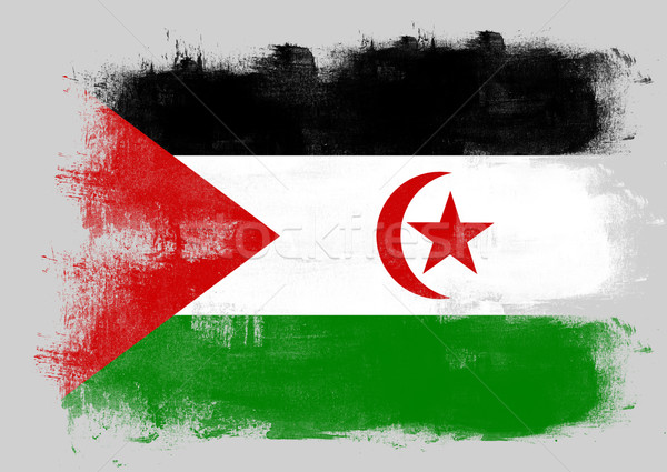 Flag of Western Sahara painted with brush Stock photo © tang90246