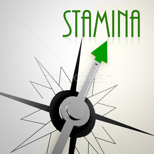 Stamina on green compass Stock photo © tang90246
