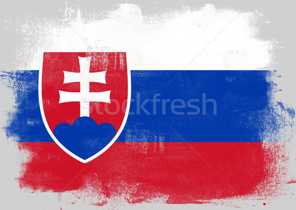Bandera Eslovaquia pintado cepillo sólido resumen Foto stock © tang90246