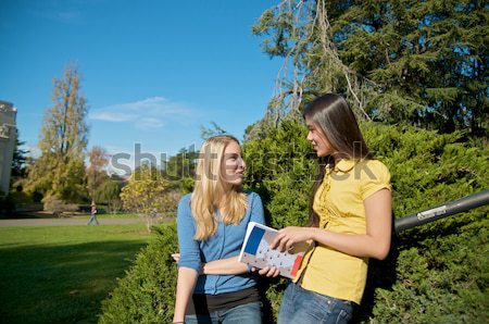 Kızlar konuşma kampus kadın Öğrenciler kitap Stok fotoğraf © tangducminh