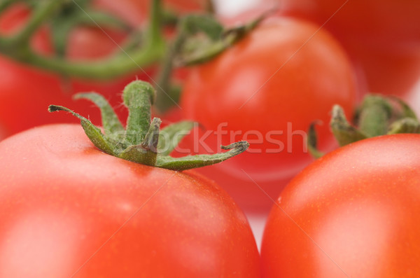 Domates domates kırmızı beyaz arka plan yakın çekim Stok fotoğraf © tangducminh