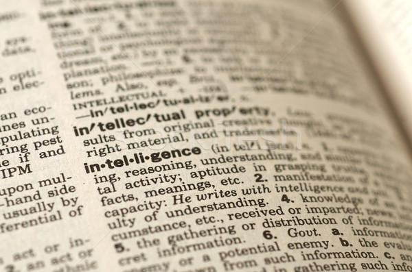 Intelligencia szó szótár meghatározás üzlet papír Stock fotó © tangducminh