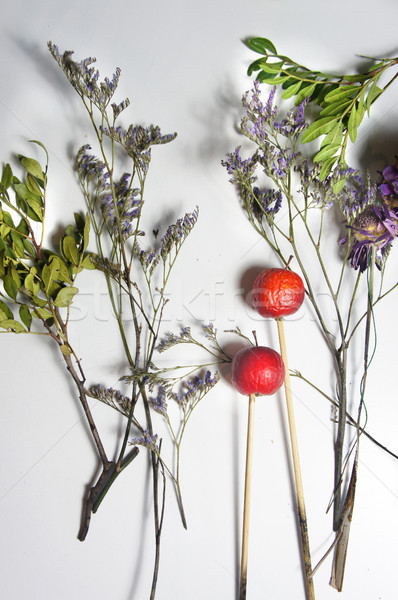 Mix of dry flowers and plants Stock photo © tannjuska