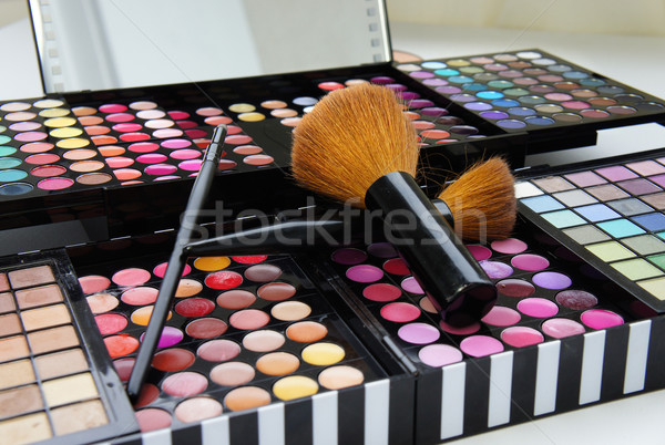 Professional make-up palette and brushes Stock photo © tannjuska