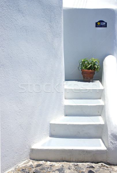 Houses of Santorini in details Stock photo © tannjuska