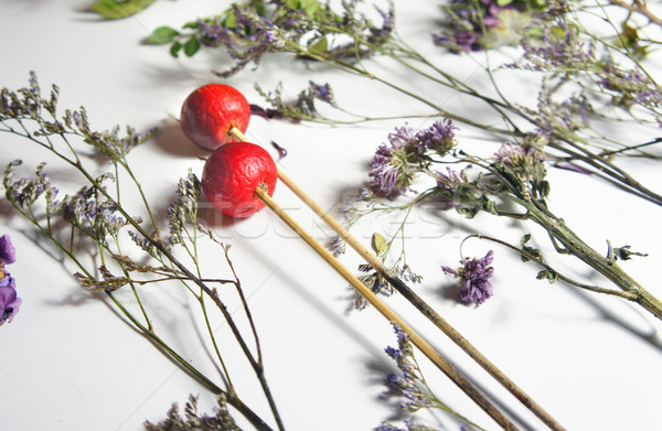 Mix of dry flowers for ikebana  Stock photo © tannjuska