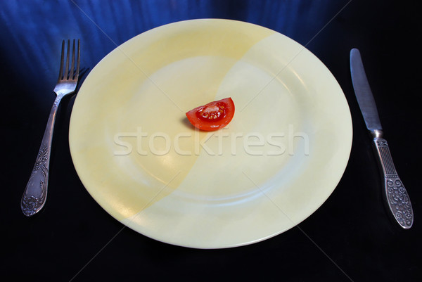 Big plate with a small piece of food Stock photo © tannjuska