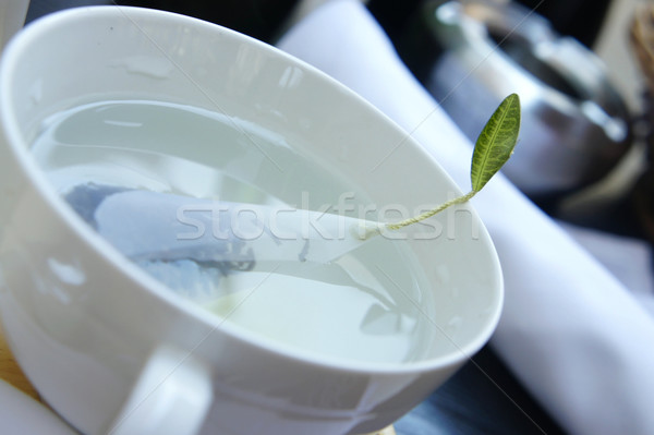 Green tea in the white cup   Stock photo © tannjuska