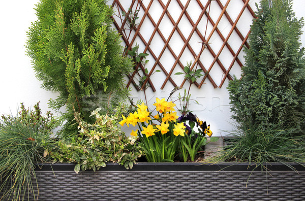 Foto stock: Primavera · moderno · belo · terraço · flores · casa