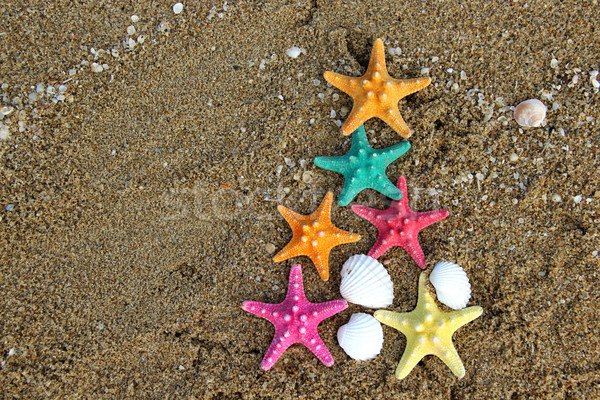 Christmas and New Year on the beach Stock photo © tannjuska