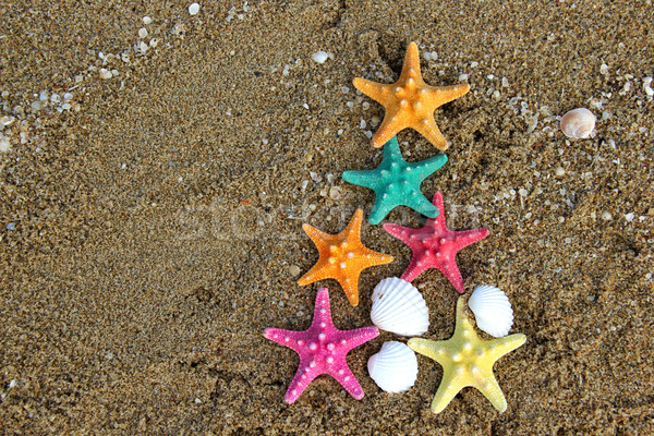 Noël nouvelle année plage Creative style été [[stock_photo]] © tannjuska