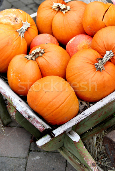 Foto stock: Grande · halloween · abóboras · cair · jardim