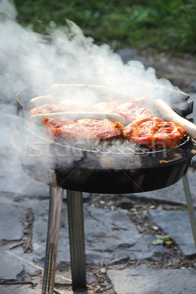 Barbekü ızgara bahçe parti pişirme sıcak Stok fotoğraf © tannjuska