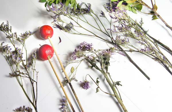 Mix of dry flowers and plants Stock photo © tannjuska