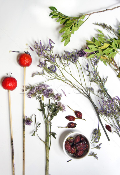 Mix of dry flowers and plants Stock photo © tannjuska