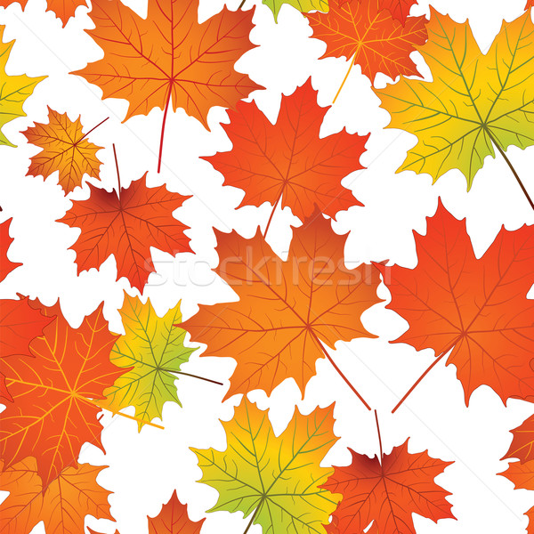 Kleurrijk esdoorn bladeren illustratie Rood Stockfoto © tanya_ivanchuk