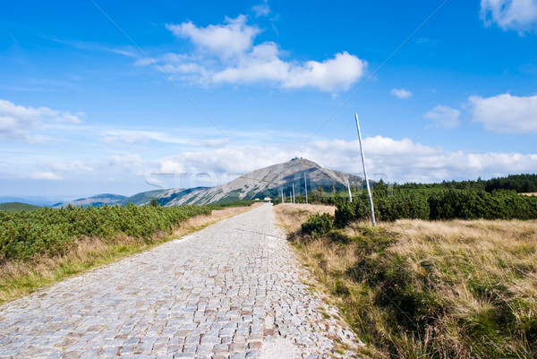 mountain road to the top between grassland and meadow Stock photo © tarczas