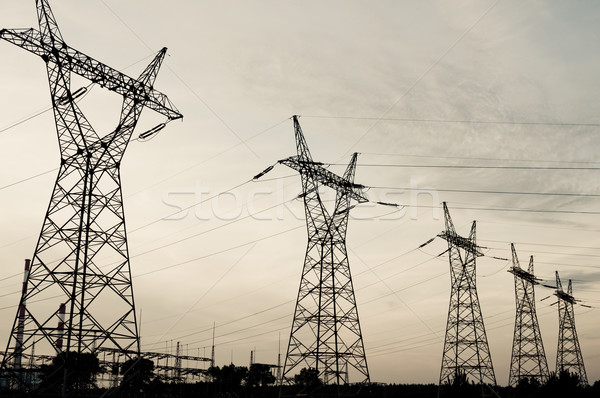 Transmission power line in sunset Stock photo © tarczas