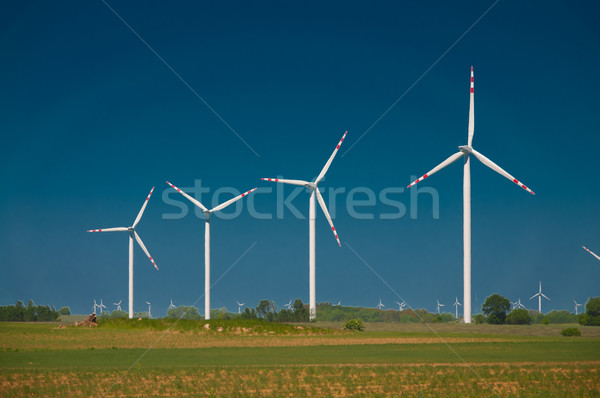 green meadow with Wind turbines generating electricity  Stock photo © tarczas