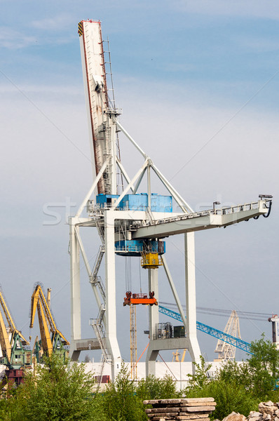 big crane in the sea port Stock photo © tarczas