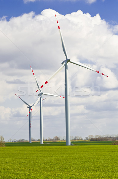 wind turbines farm Stock photo © tarczas