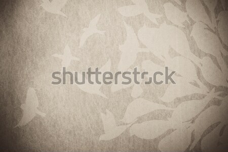 Oiseau résumé texture papier mur design Photo stock © tarczas
