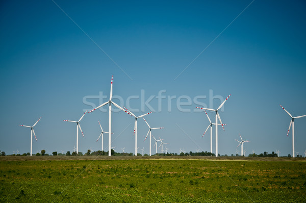 Wind turbine farm on rural terrain Stock photo © tarczas