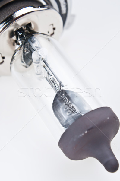 car halogen light bulb Stock photo © tarczas