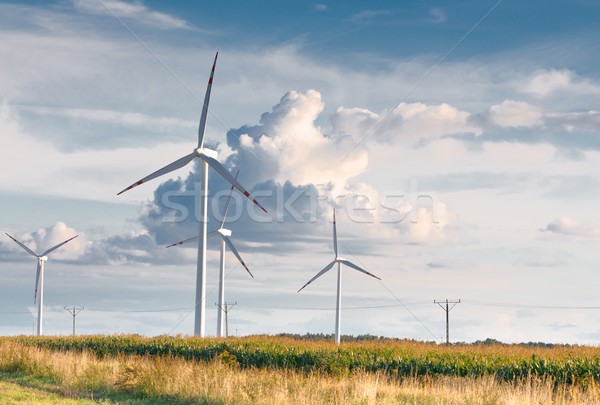 Wind turbine farm on rural terrain Stock photo © tarczas