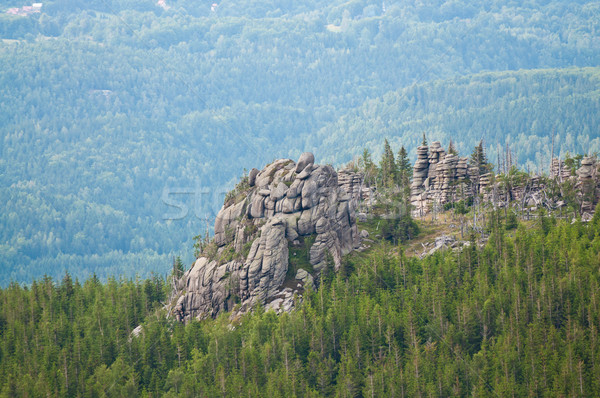 rock in the mountains surrounded by forest Stock photo © tarczas