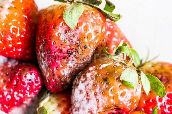 Stock photo: Strawberry With Mold Fungus