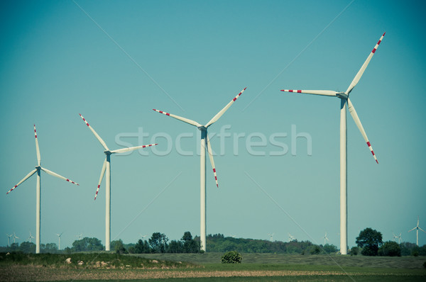 Wind turbine farm on rural terrain Stock photo © tarczas