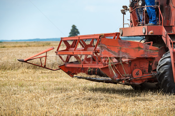 combine harvester that is harvesting wheat on summertime Stock photo © tarczas