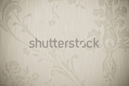Blume abstrakten Textur Papier Wand Design Stock foto © tarczas