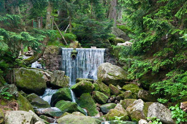 mountain waterfall in the green wild forest Stock photo © tarczas