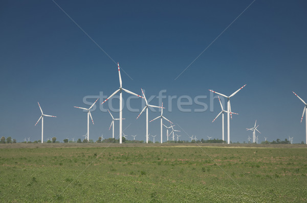 Turbina eolica farm rurale terreno tecnologia potere Foto d'archivio © tarczas