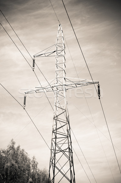 Pylon and transmission power line Stock photo © tarczas