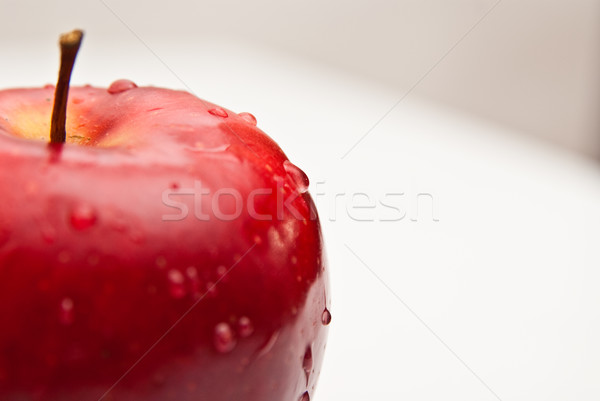 Frischen roten Apfel isoliert weiß Obst Garten Stock foto © tarczas