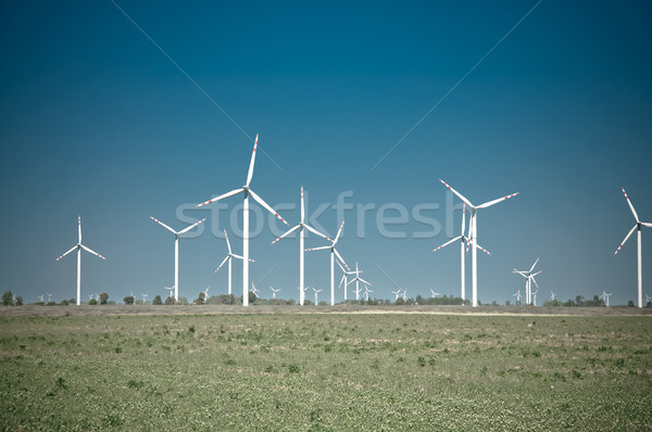 Zdjęcia stock: Turbina · wiatrowa · gospodarstwa · wiejski · teren · technologii · moc