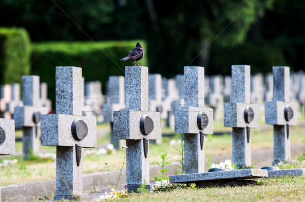 granit crosses on the graves of warriors Second World War Stock photo © tarczas