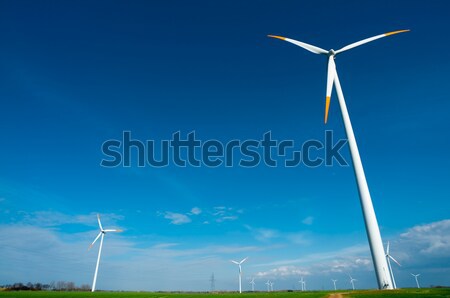 wind turbine farm Stock photo © tarczas