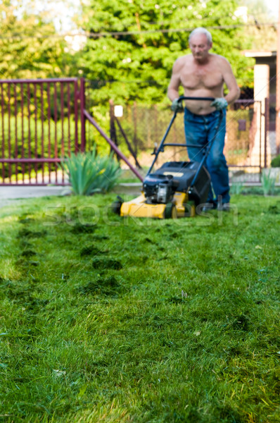man cutting the grass with the mower  Stock photo © tarczas