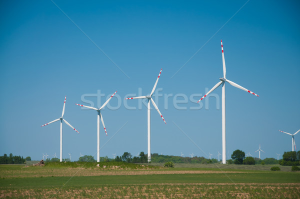 Wind turbine farm on rural terrain Stock photo © tarczas