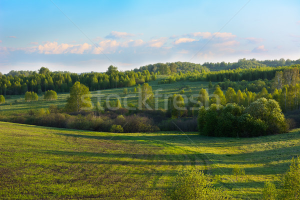 Summer sunset over beautiful hills landscape Stock photo © TasiPas