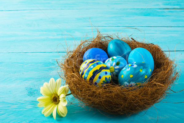 Niebieski Easter Eggs gniazdo odznaczony żółty kwiat Daisy Zdjęcia stock © TasiPas