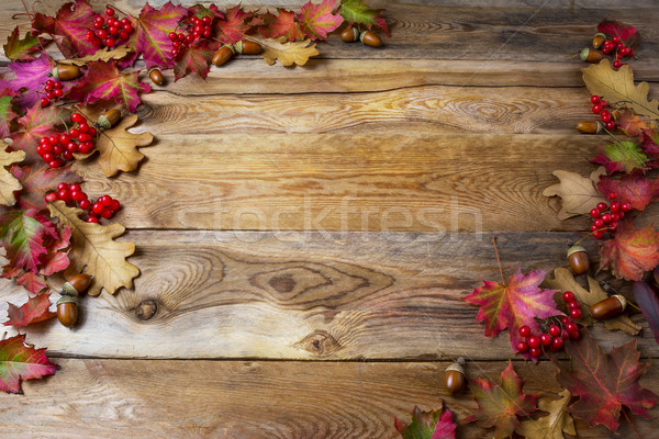 Dankzegging bessen eikel vallen eiken bladeren Stockfoto © TasiPas