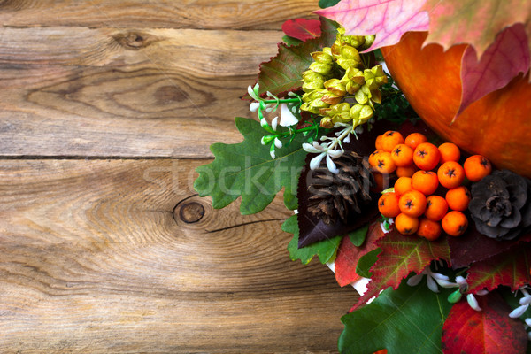 Thanksgiving greeting with rowan, cones and leaves Stock photo © TasiPas