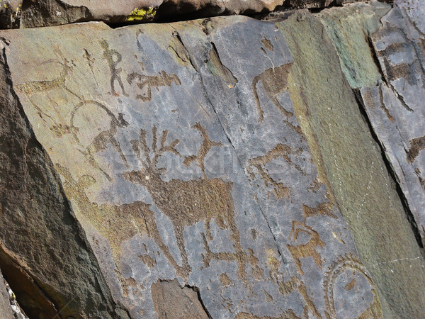 Stones with of people and animals petroglyphs Stock photo © TasiPas