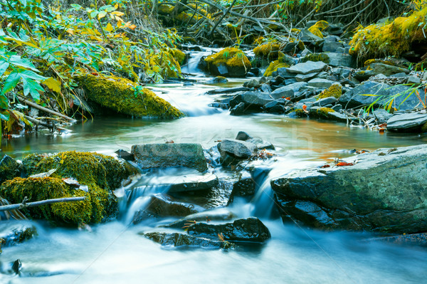 Rzeki dolny piękna wodospad krajobraz Zdjęcia stock © TasiPas