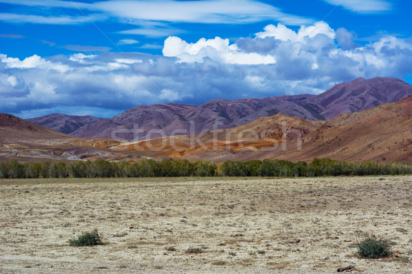 Mountain View steppe landscape Stock photo © TasiPas